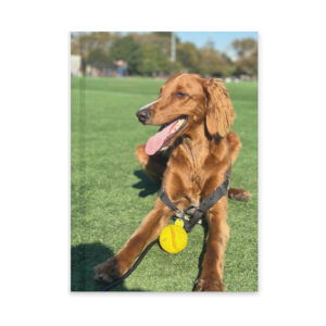 Hardcover Matte Journal – Featuring Jaxy the Dog 2